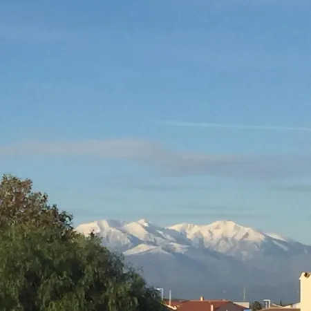 L'olivier *